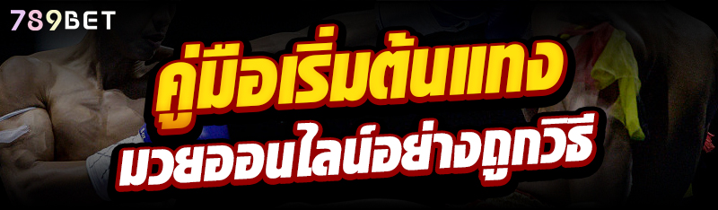 คู่มือเริ่มต้นแทงมวยออนไลน์อย่างถูกวิธี